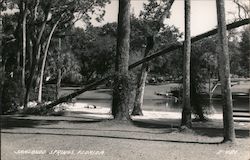 Scenic View Postcard
