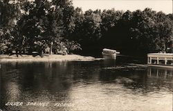 Scenic View Silver Springs, FL Postcard Postcard Postcard