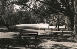 Scenic View Postcard