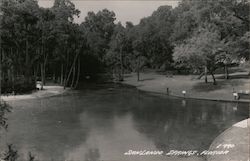 Sandlando Springs, Florida Water Park and Trees Postcard