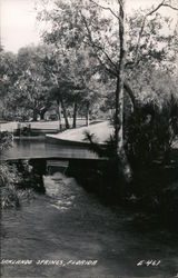 Scenic View Postcard