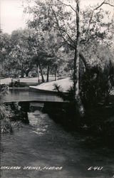 Scenic View Sanlando Springs, FL Postcard Postcard Postcard