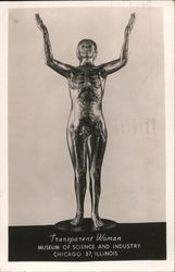 Transparent Woman, Museum of Science and Industry Chicago, IL Postcard Postcard Postcard