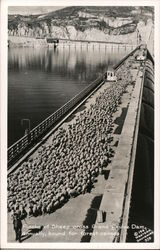 Flocks of Sheep Cross the Grand Coulee Annually, Bound for Forest Ranges Postcard