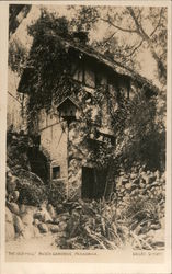 The Old Mill, Busch Gardens Postcard