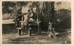 The Fox Family, Busch Gardens Postcard