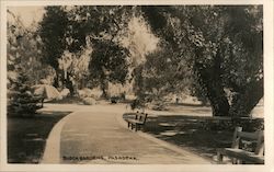 Busch Gardens Pasadena, CA Postcard Postcard Postcard