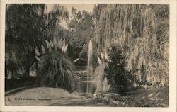 Busch Gardens Postcard