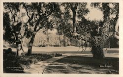 Busch Gardens Postcard