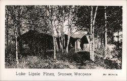 Lake Lipsie Pines Postcard