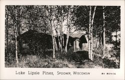 Lake Lipsie Pines Spooner, WI Bence Postcard Postcard Postcard