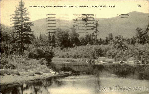 Moose Pool Little Kennebago Stream Rangeley Maine