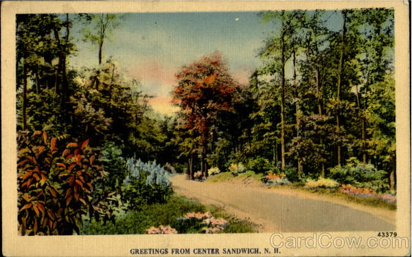 Greetings From Center Sandwich New Hampshire