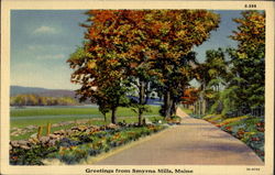 Greetings From Smyrna Mills Maine Postcard Postcard