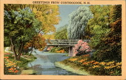 Greetings From Contoocook Postcard