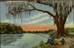All's Peaceful Along The Suwannee River Postcard
