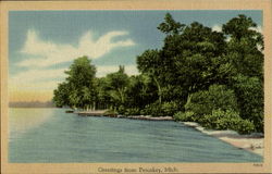 Greetings From Petoskey Postcard