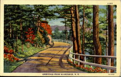Greetings From Kearsarge Postcard