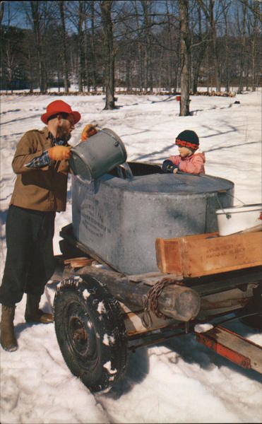 Maple Sap being Poured into gathering tank Dick Smith