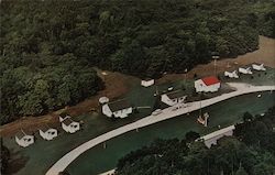 Forest View Cabins Postcard
