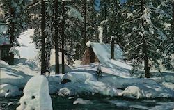 Winter's Soft Solitude Postcard