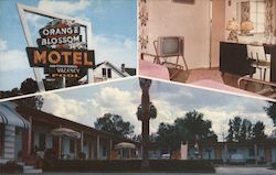 Orange Blossom Motel Ocala, FL Postcard Postcard Postcard