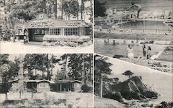 17-Mile Drive Cottage Court Postcard