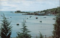 Woods Hole Bay Postcard