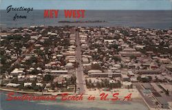 Greetings From Key West Postcard