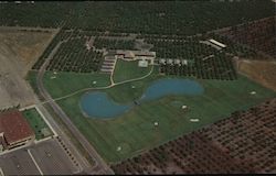 IBM Homestead Postcard