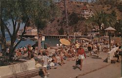 Avalon's Sun-Tan Beach Postcard