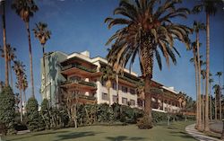 The Beverly Hills Hotel California Postcard Postcard Postcard