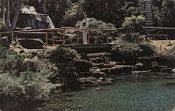 Waterfall, Pagoda Hotel & Floating Restaurant Postcard