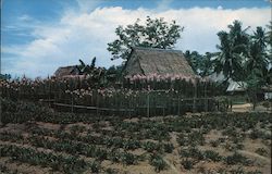 Farm House in Rural Area Postcard