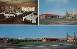 Golden Arrow Motel & Restaurant Shamokin Dam, PA Postcard Postcard Postcard