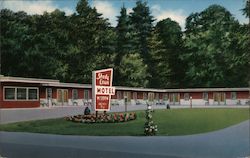 Shady Lawn Motel Postcard