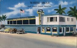 Marine Arena "West Coast's Largest Aquarium" Postcard