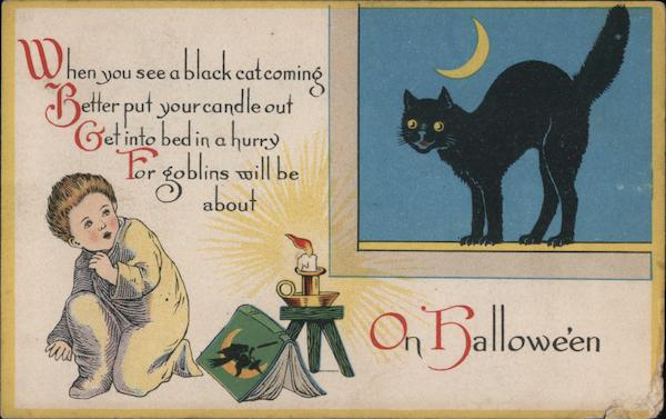 When you see a black cat coming Halloween