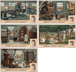 Lot of 5 Trade Cards: Liebig's Extract of Meat Trade Card