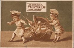 Nature's Remedy - Vegetine - The Great Blood Purifier Advertising Trade Card Trade Card Trade Card
