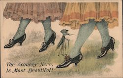 The Scenery Here, Is Most Beautiful! Mosquitoes Postcard Postcard Postcard