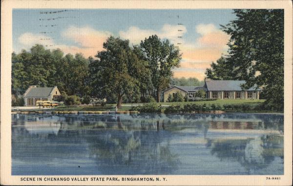 Scene in Chenango Valley State Park Binghamton, NY Postcard