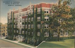 University of Tennessee School of Medicine Postcard
