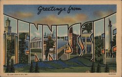 Greetings from Tennessee Postcard Postcard Postcard
