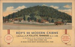 Roy's 20 Modern Cabins La Follette, TN Postcard Postcard 