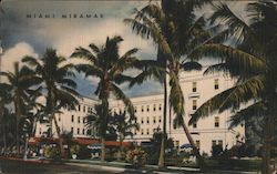 Miami Miramar Hotel Florida Postcard Postcard Postcard