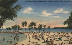 Matheson Hammock Recreational Park and Beach Postcard