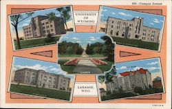 University of Wyoming Laramie, WY Postcard Postcard Postcard