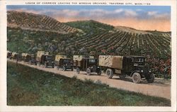 Loads of Cherries Leaving the Morgan Orchard Postcard