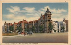 American Museum of Natural History, New York City Postcard